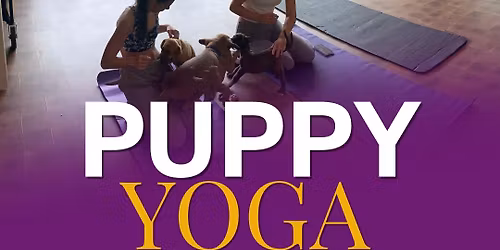 Puppy Yoga