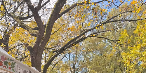 Our 2nd Local Market : Mother\u2019s Day Edition