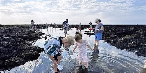 Seashore Safari - Westbrook Eco Fair 2026