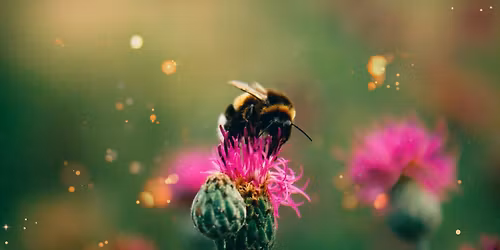 Family Saturdays: Enchanted Garden - A Magical Makers Day