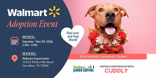 Walmart Adoption Event | Carrollton, TX