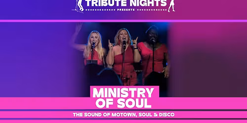 Soul &amp; Motown Night - Ministry of Soul Band
