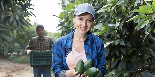 Connecting Northern Rivers Agriculture & Food Industry