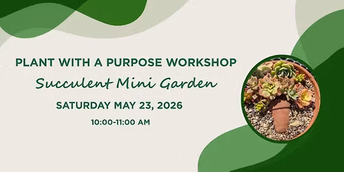 Plant With A Purpose Workshop - Succulent Mini Garden 
