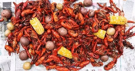 Sarah Bauer Band and Crawfish Boil!