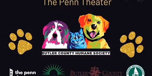 Dancing for a Cause - Leadership Butler County Fundraiser