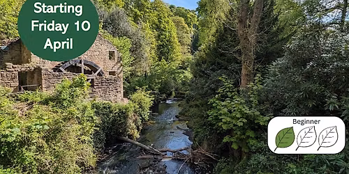 Plants and Habitats of the Ouse Burn