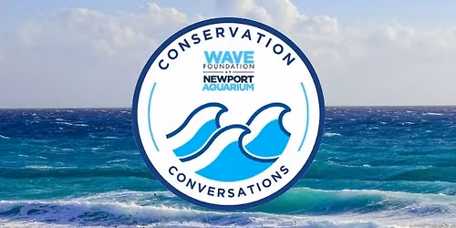 Conservation Conversations: Shark Ray 360