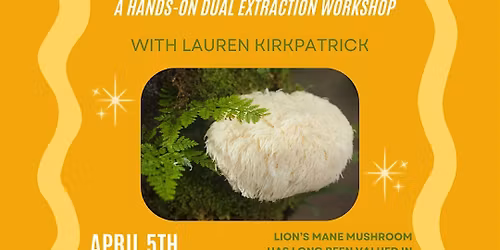 Crafting Lion's Mane Mushroom Medicine with Lauren Kirkpatrick