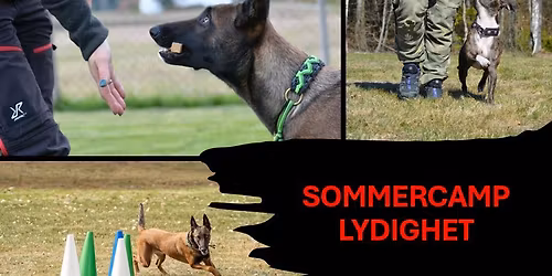 SOMMERCAMP I LYDIGHET