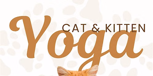 Kitten Yoga with Buffalo Animal Shelter at Canterra