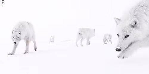 Wildlife Photographer of the Year 61