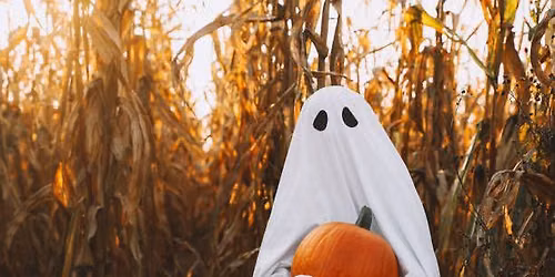 Annual Kid Friendly Haunted House -SENSORY FRIENDLY
