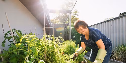 Getting Started With Gardening: Public Workshop Series