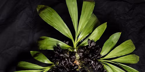 AOS Northeast Judging Center Monthly Judging, Englewood, NJ