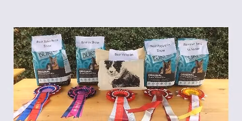 longden companion dog show 