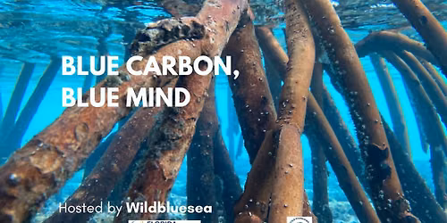 Florida Climate Week cleanup+ Mangrove outreach pop-up 