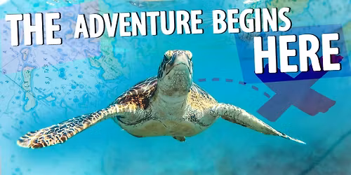 Wokingham Winter Carnival