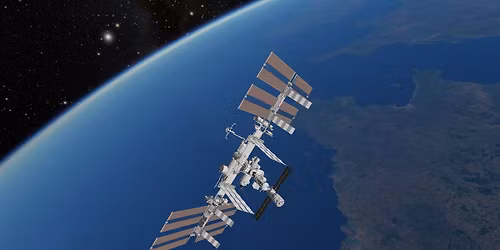 Universeum p\u00e5 Vetenskapsfestivalen