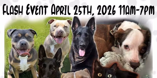 HSTC Tattoo Flash Event