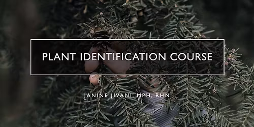 Plant Identification Class (Indoors)