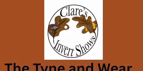 Tyne and Wear Show 