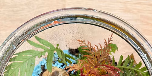 Bring Your Own Container Terrarium Class