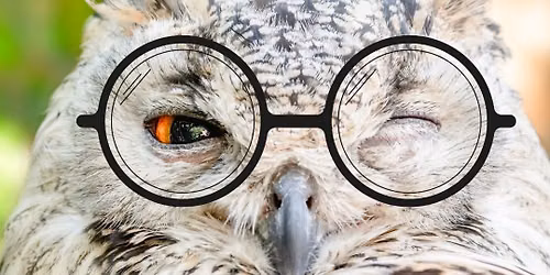 Wise Owls Pub Quiz