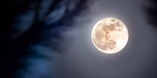 Full Moon Circles & Flower Essence Workshop