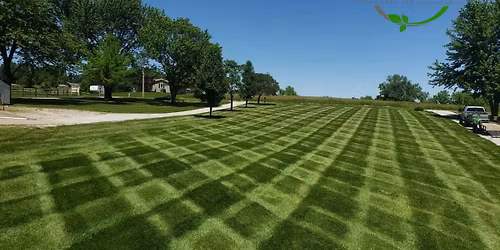 Premier Turf Training