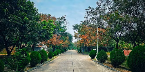 Hitec City 10K Run 2026