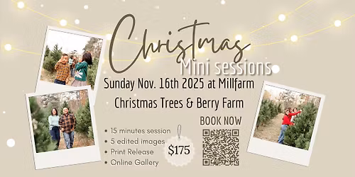 Christmas Mini Sessions at Millfarm Christmas Trees & Berry Farm