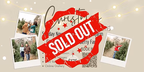 Christmas Mini Sessions at Millfarm Christmas Trees & Berry Farm