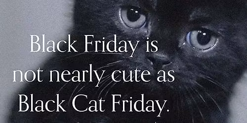 Black Friday Black Cat Special Adoption Event