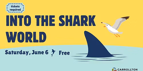 Into the Shark World