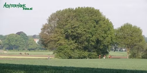 (M)Endurance Barchem