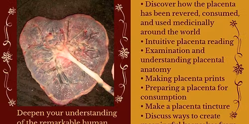 Placenta Magic and Medicine