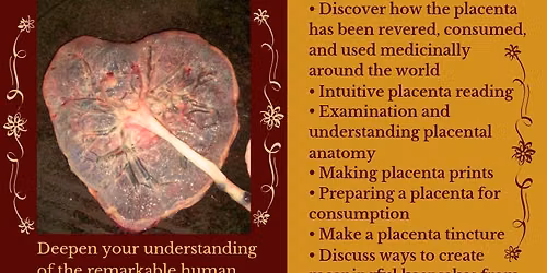 Placenta Magic and Medicine
