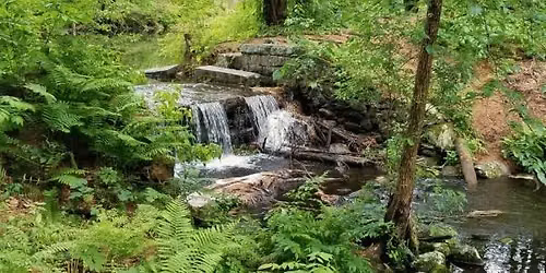 Wekepeke (Lynde Basin) Trail Hike - Pet friendly (All ages)
