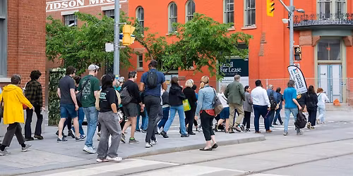 Canary District in Motion