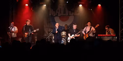 Live at the Cheese and Grain, Frome