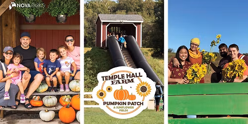 Temple Hall Farm Pumpkin Patch & Sunflower Fields