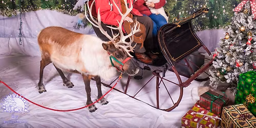 Live Reindeer Photo Fundraiser at Eos TRC