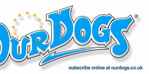 Eukanuba Stakes Finals February 2026