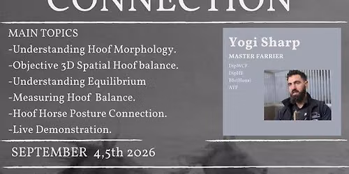 The Horse Hoof Connection