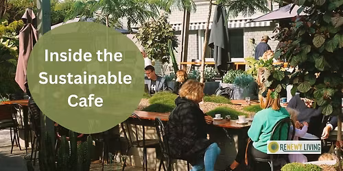 The Secret Ingredients of a Sustainable Cafe