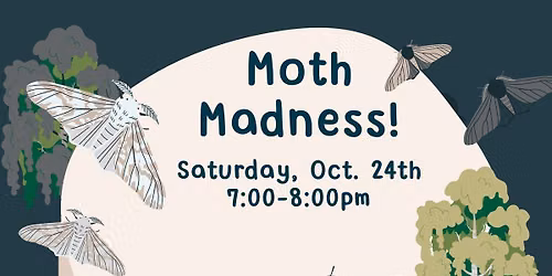 Moth Madness