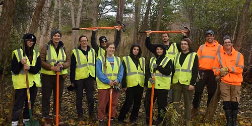 Spencer Creek Invasive Removal