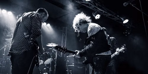 The Cureheads + Siouxsie and the Budgies