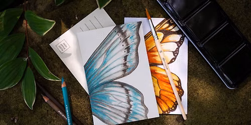 Butterfly & Moth Postcards